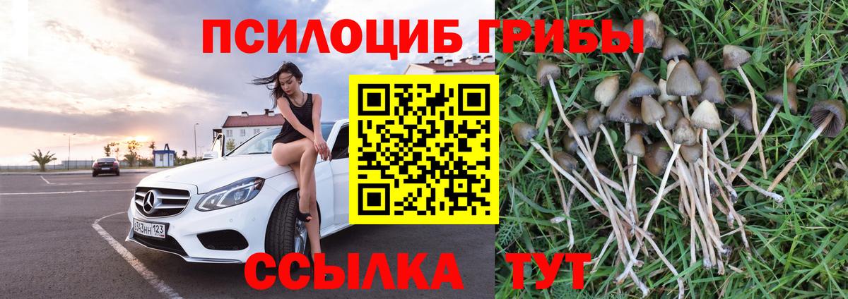 Усть-Джегута  как найти закладки  Вход с VPN  Псилоцибиновые грибы Magic Shrooms 